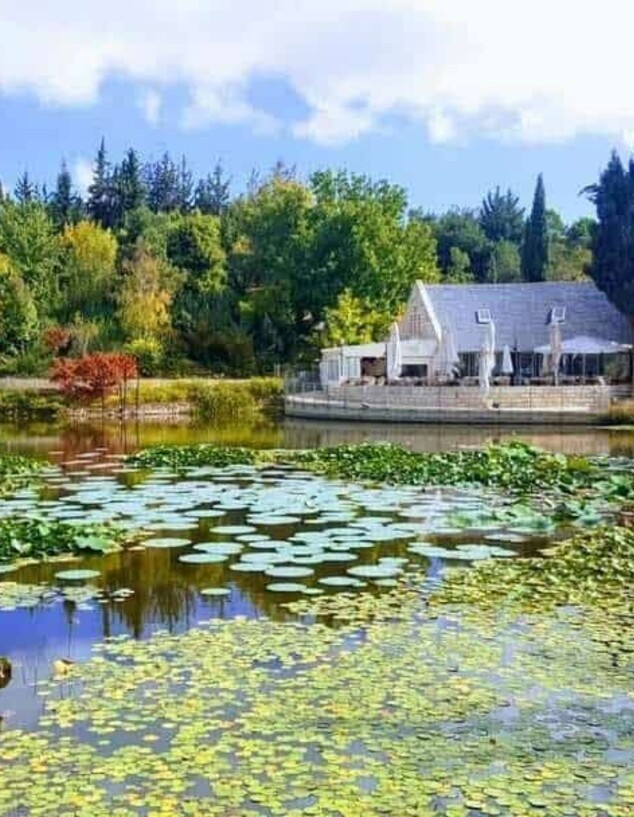 קרקס בגן הבוטני בגבעת רם קרקס בגן הבוטני בגבעת רם