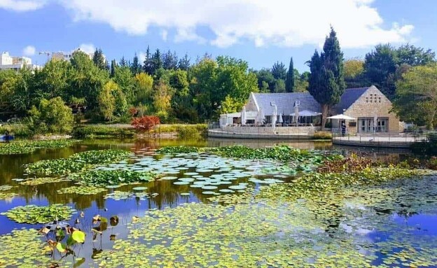 קרקס בגן הבוטני בגבעת רם (צילום: יחצ הגן הבוטני ירושלים)