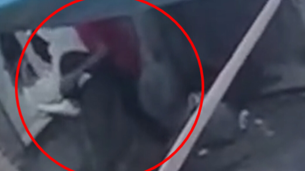 תיעוד הפריצה