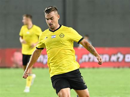 (ברני ארדוב)