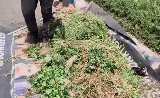 פועלים מטעם עיריית חיפה מפנים גזם בעזרת שלט החזרת  (צילום: לפי סעיף 27 א')