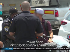 19knasot_vtr2_n20250811_v1 (צילום: חדשות)
