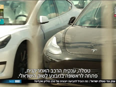 19tesla_vtr2_n20250811_v1 (צילום: חדשות)