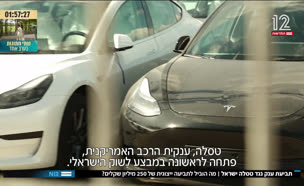19tesla_vtr2_n20250811_v1 (צילום: חדשות)