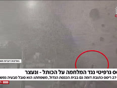 20grafiti_vtr2_n20250811_v1 (צילום: חדשות)