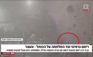 20grafiti_vtr2_n20250811_v1 (צילום: חדשות)