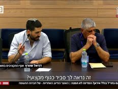 20huliran_vtr2_n20250811_v1 (צילום: חדשות)