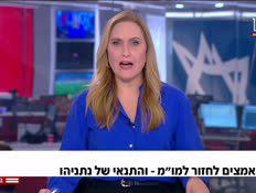 20mum_vtr2_n20250811_v1 (צילום: חדשות)