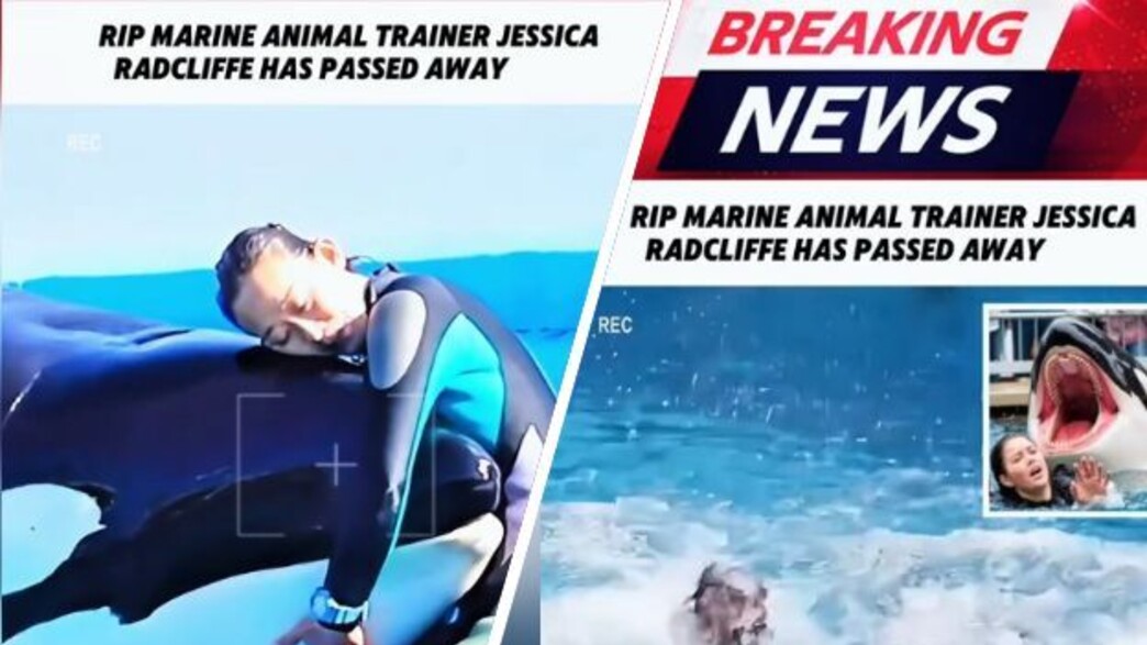 הסרטון בטיקטוק על "מותה של ג'סיקה רדקליף"