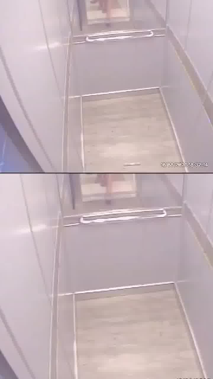 תושב אור יהודה בן 50 נעצר לאחר שתועד מתעלל בכלבו