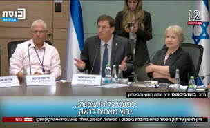 20bismut_vtr20250812_v1 (צילום: חדשות)