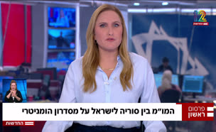 20israelsuriya_vtr20250812_v1 (צילום: חדשות)