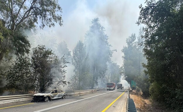 שרפה ביער אשתאול שרפה ביער אשתאול