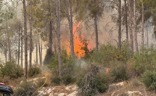 שרפה ביער אשתאול שרפה ביער אשתאול