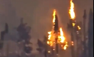 גל שריפות ביוון (צילום: רשתות חברתיות לפי סעיף 27א)