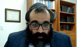 מאיר קפלן (צילום: מתוך 