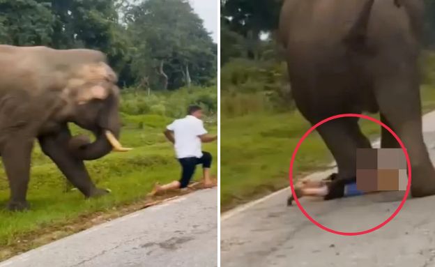 קרנטקה (צילום: מתוך הרשתות החברתיות לפי סעיף 27א׳ לחוק זכויות יוצרים)