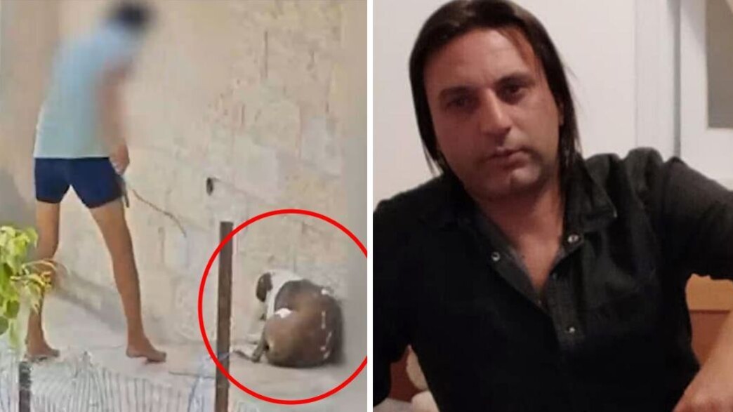 יוסי פרץ וההתעללות בכלב יוסי פרץ וההתעללות בכלב