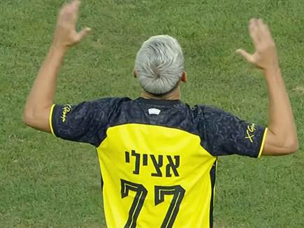 אצילי כבש שער גדול