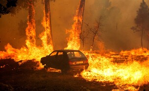 שרפות בפורטוגל (צילום: reuters)