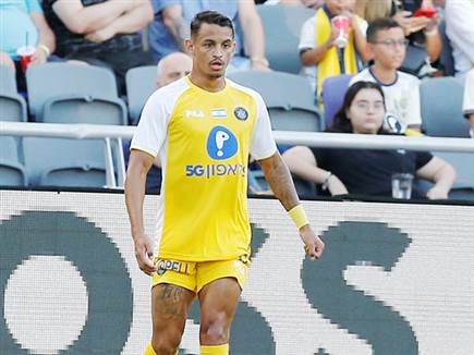 (אלן שיבר) (אלן שיבר)