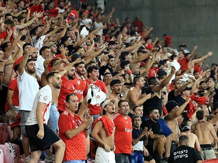 משני הצדדים (צילום: אלן שיבר)