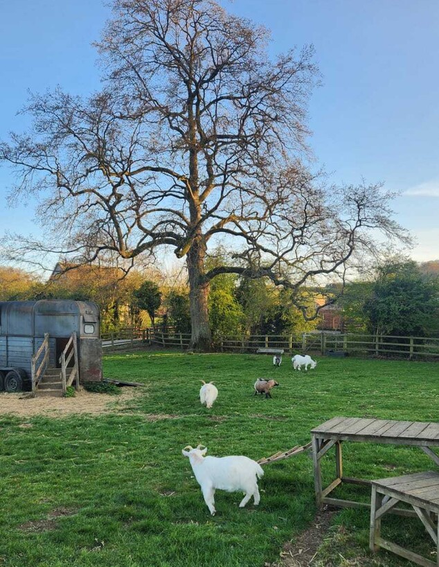 סוהו פארם האוס סוהו פארם האוס