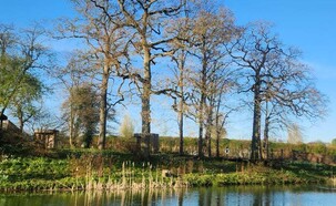 סוהו פארם האוס (צילום: מתן חצרוני)