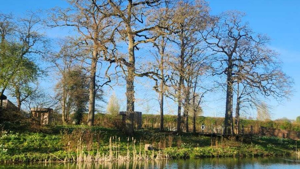סוהו פארם האוס סוהו פארם האוס