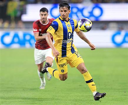 (אלן שיבר) (אלן שיבר)