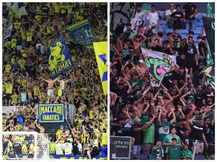 (צילום: מאור אלקסלסי ואלן שיבר)