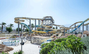 יו ספלאש (צילום: רוני בלחסן)