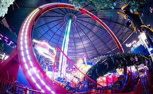 לופר מג'יק קאס (צילום: יחסי ציבור)