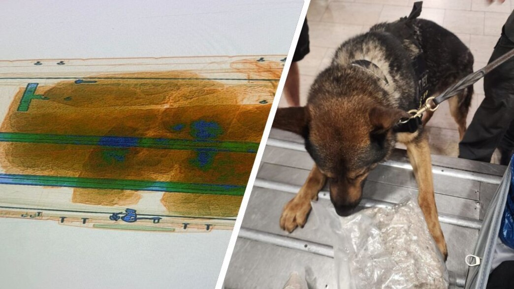 תפיסת הסמים