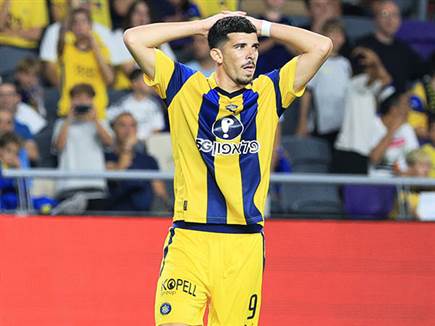 (אלן שיבר) (אלן שיבר)