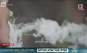 20cigaria_vtr2_n20250819_v1 (צילום: חדשות)