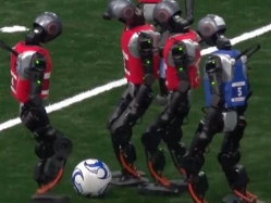 sportFive1589499 (צילום: ספורט 5)