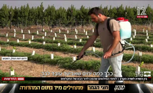 20sade_vtr2_n20250820_v1 (צילום: חדשות)