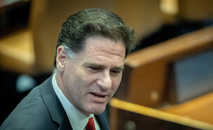 השר לעניינים אסטרטגיים רון דרמר (צילום: יונתן סינדל, פלאש 90)