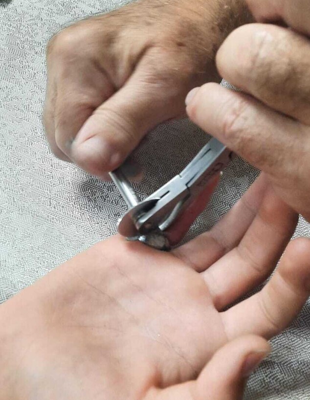 המתנדב בפעולה