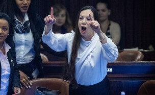 טלי גוטליב (צילום: יונתן סינדל, פלאש 90)