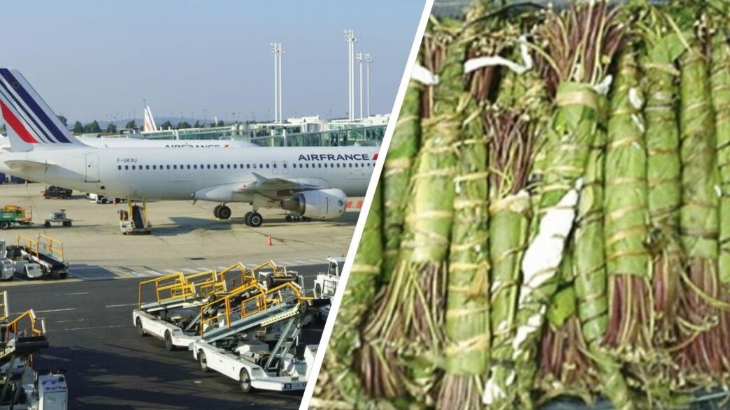 הברחת גת הברחת גת