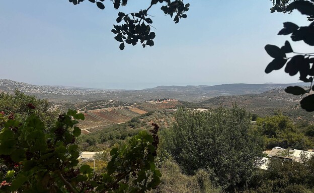 לוטם גוש שגב (צילום: מירב טלמור-קשי)