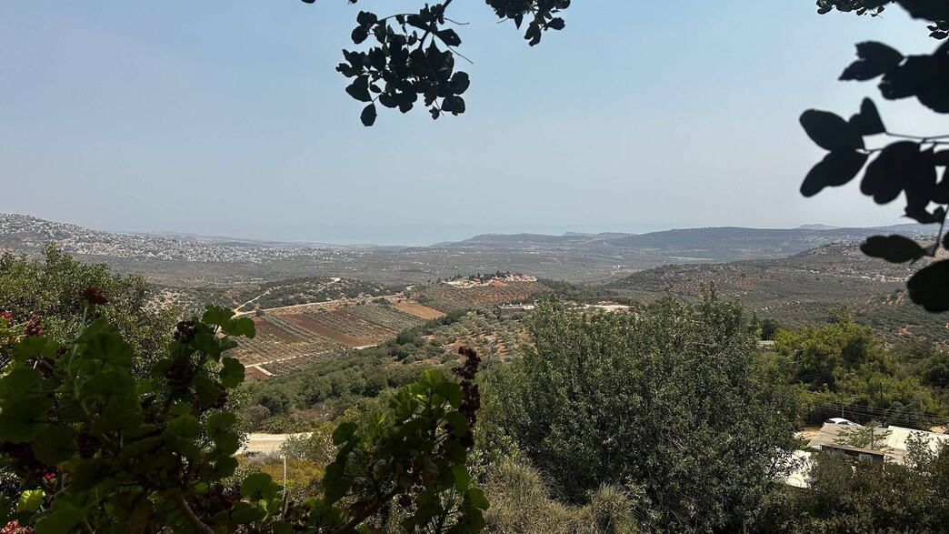 לוטם גוש שגב לוטם גוש שגב
