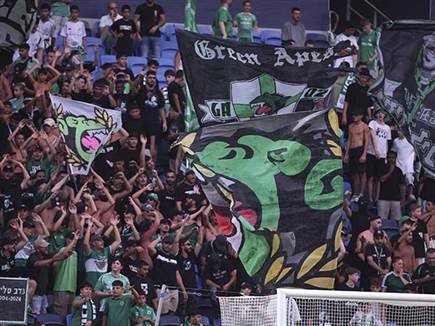 (מאור אלקסלסי)