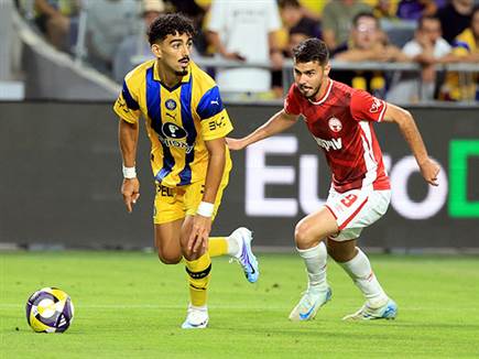 (אלן שיבר) (אלן שיבר)