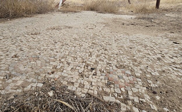 חשיפת הפסיפס לפני העתקה