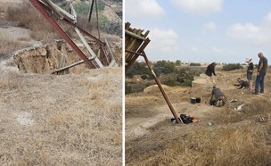 חשיפת הפסיפס לפני העתקה (צילום: רשות הטבע והגנים)
