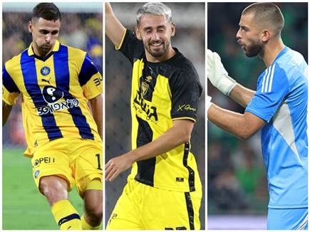 (אלן שיבר) (צילום: ספורט 5)