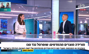 19sano_vtr2_n20250824_v1 (צילום: חדשות)